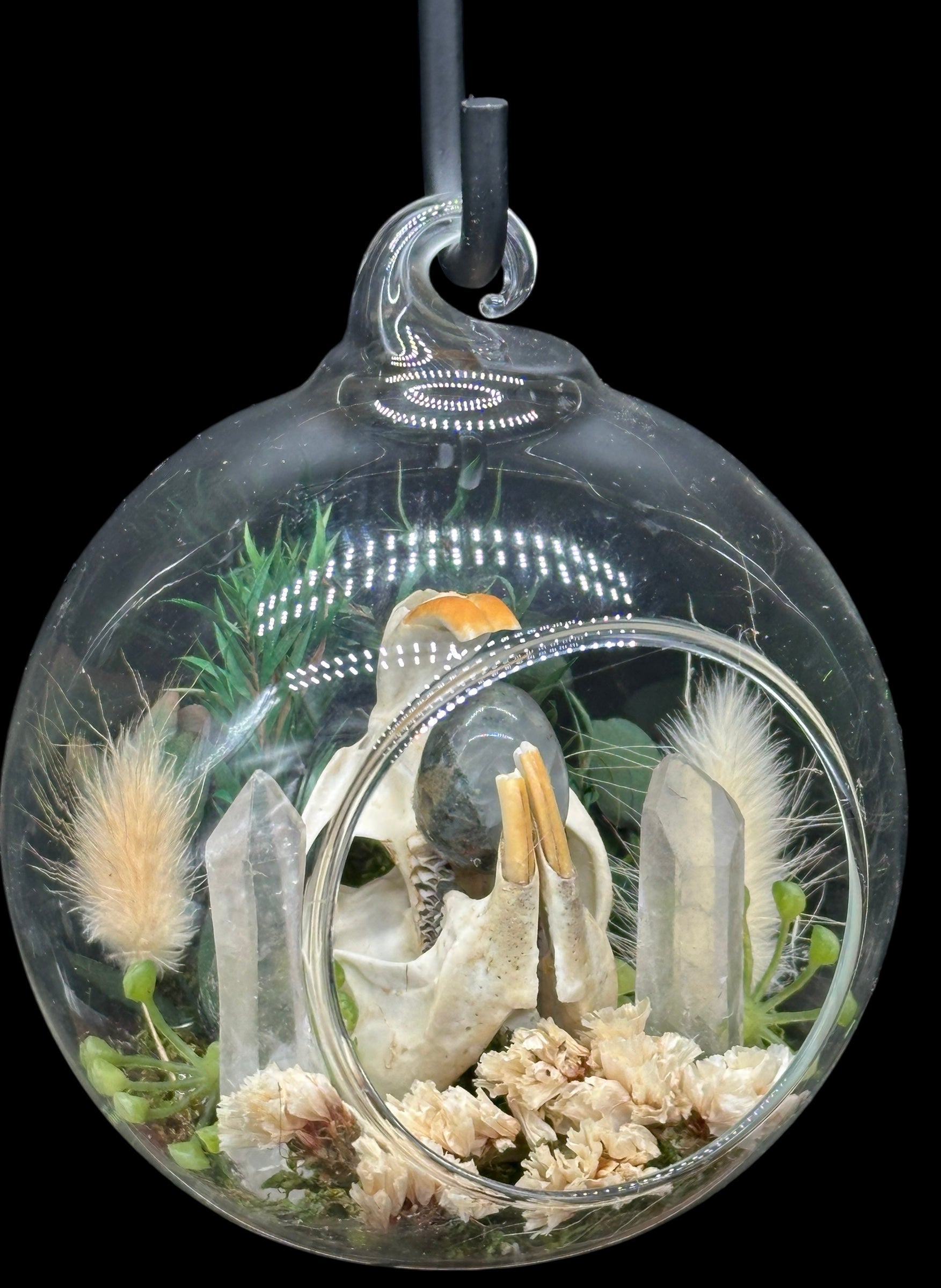 Glass Ornament - Muskrat Skull